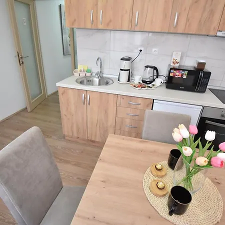 1 Apartment Kragujevac